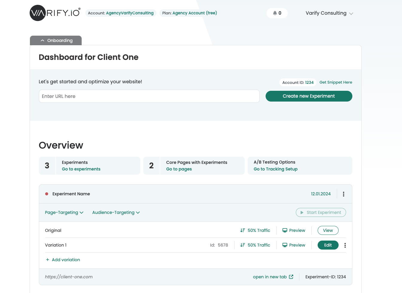 Client dashboard inside the agency account: its own account ID, overview counters and the client's experiments