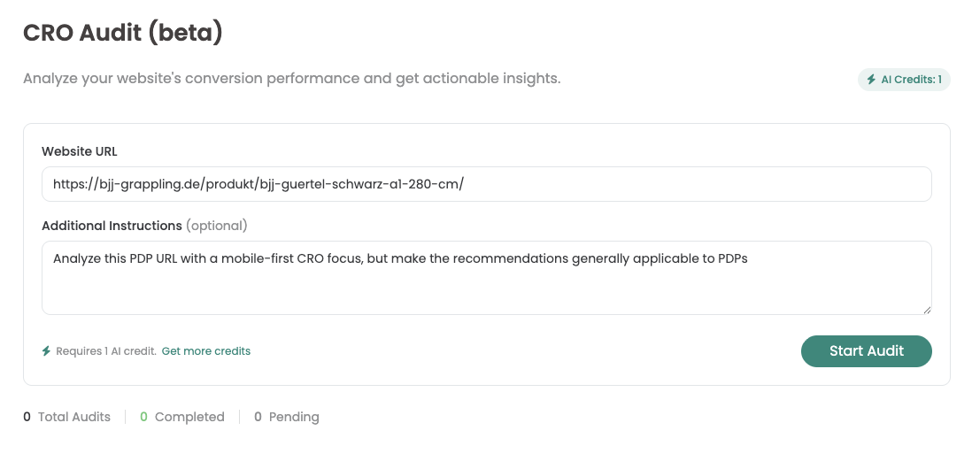 The „CRO Audit (beta)“ screen with a page address entered, a free-text field for additional instructions, the note that one AI credit is required, and the „Start Audit“ button.