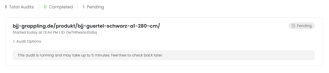 The audit list with one entry marked „Pending“ and the note that the audit may take up to five minutes.