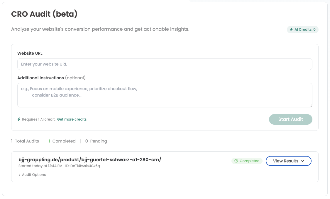 The CRO Audit screen with an empty form, no credits left, and the finished audit listed underneath.